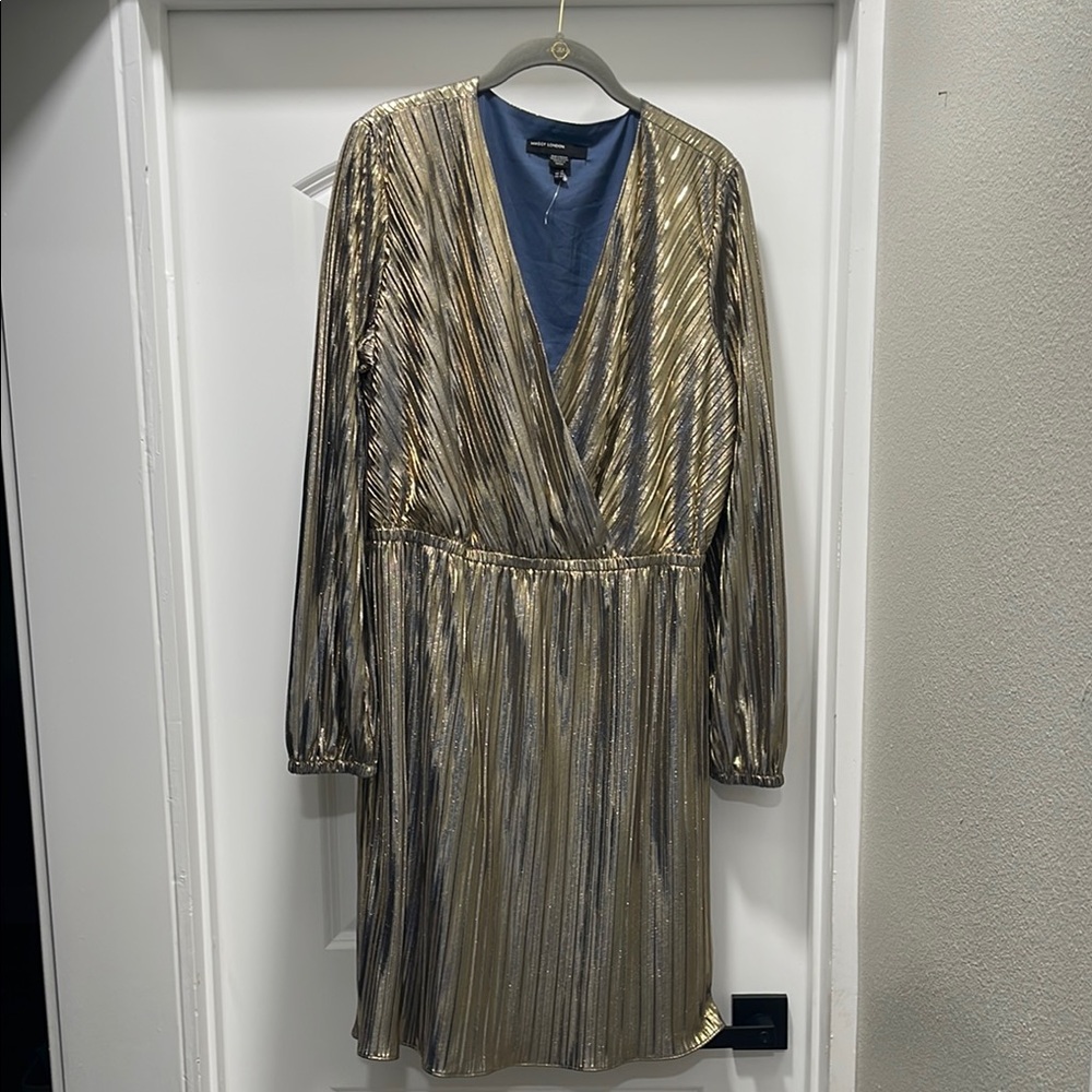 Maggy London shiny dress